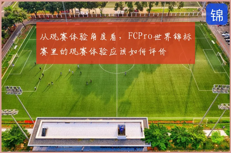 从观赛体验角度看，FCPro世界锦标赛里的观赛体验应该如何评价