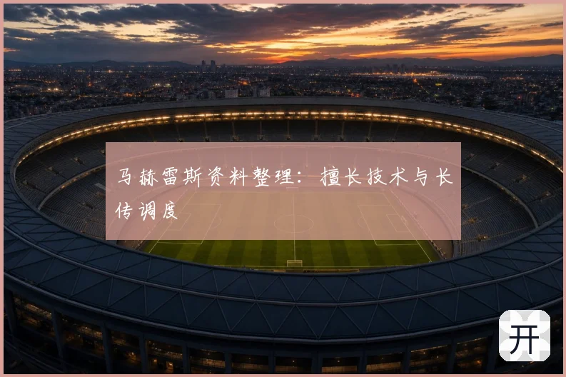 马赫雷斯资料整理:擅长技术与长传调度