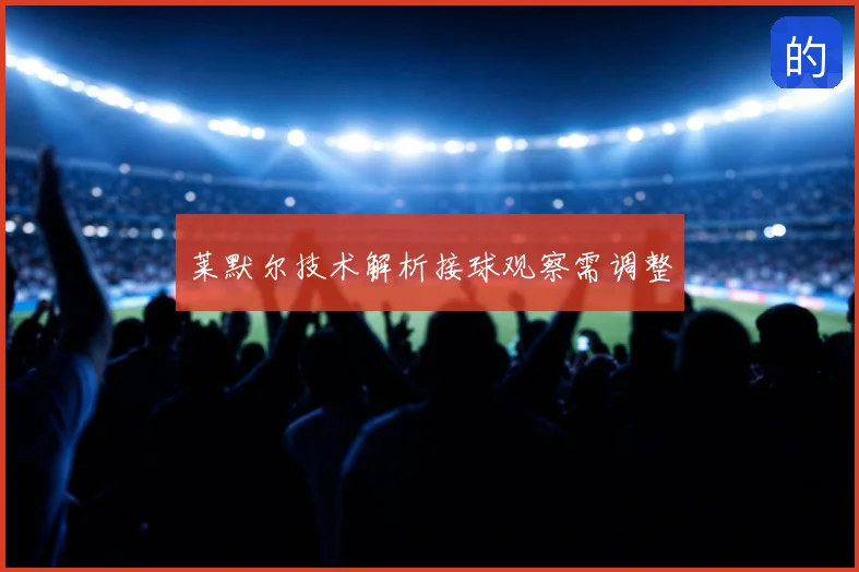 莱默尔技术解析接球观察需调整